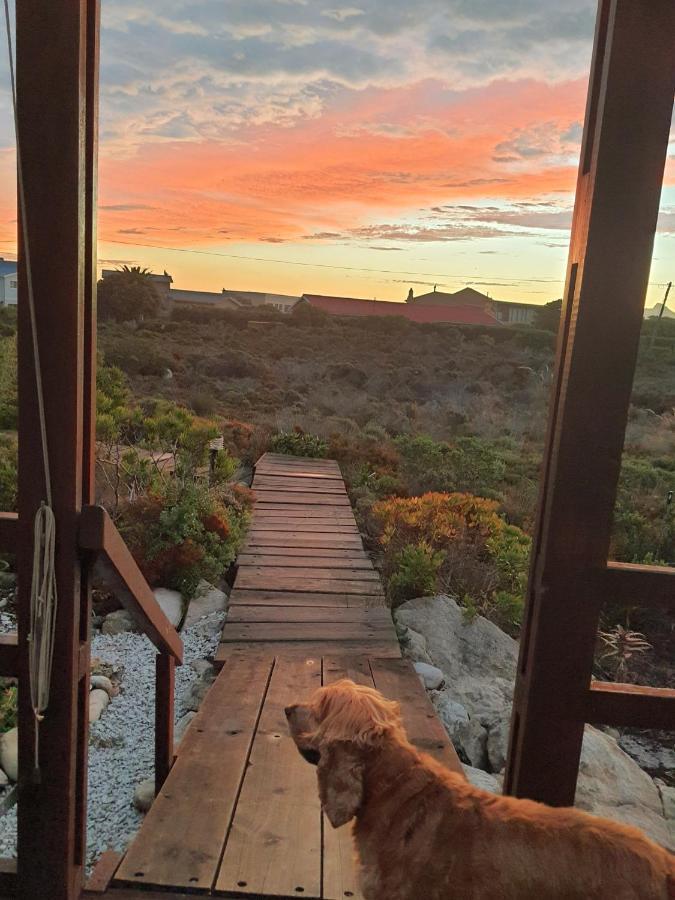 Brandys Beach House เบตตีส์เบย์ ภายนอก รูปภาพ