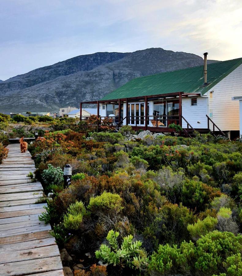 Brandys Beach House เบตตีส์เบย์ ภายนอก รูปภาพ