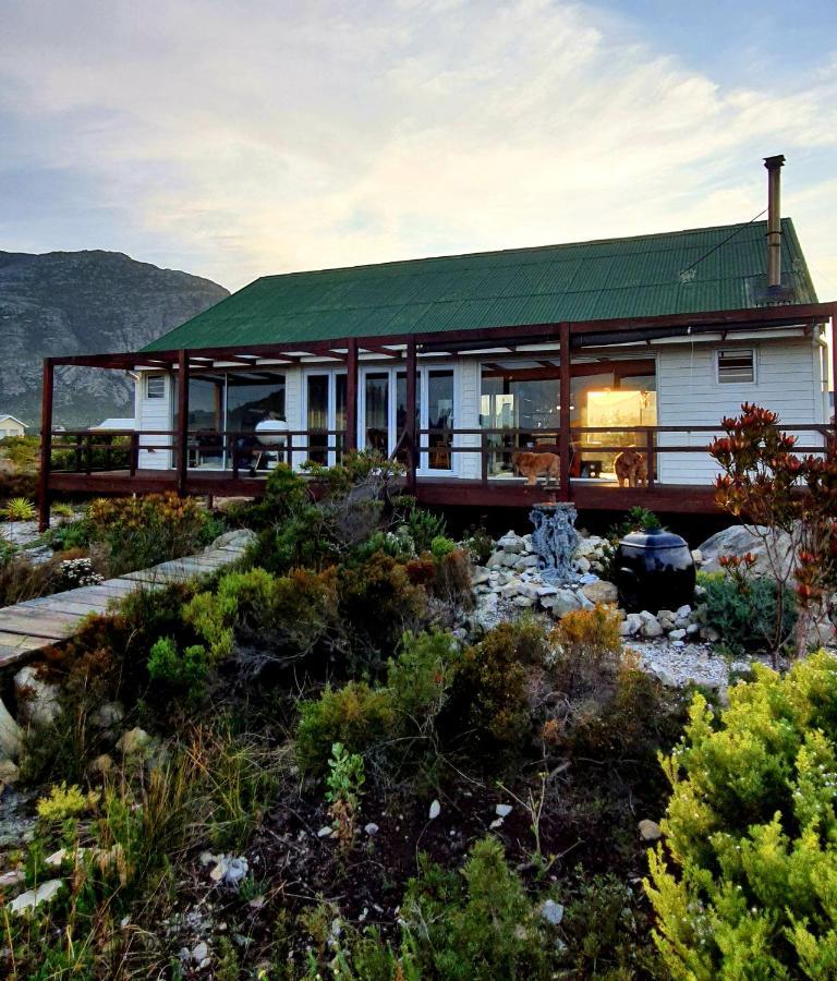 Brandys Beach House เบตตีส์เบย์ ภายนอก รูปภาพ